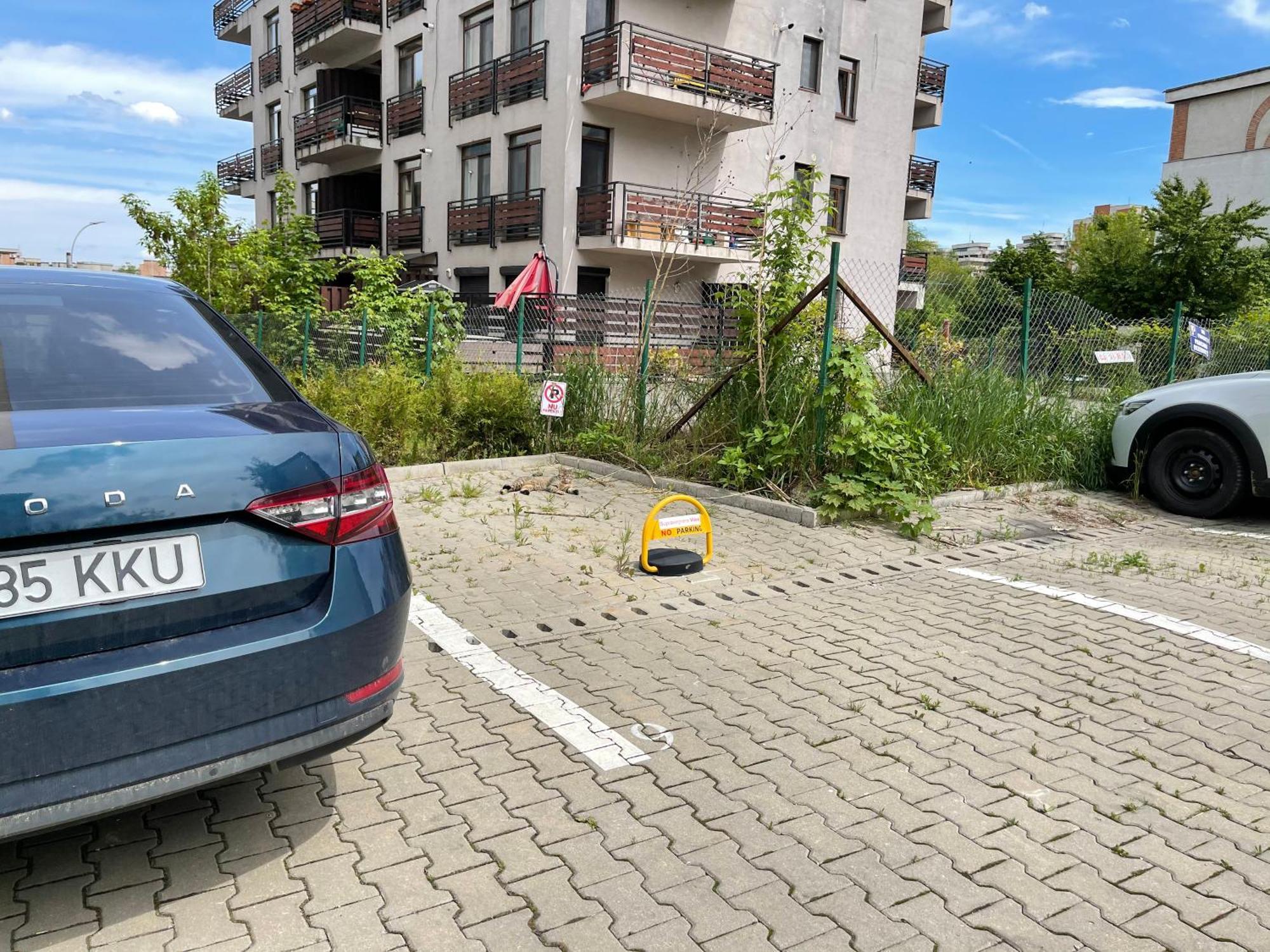 Relax Cluj Apartment And Terrace Εξωτερικό φωτογραφία
